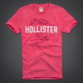 Hollister - Camiseta Masculina - 8119