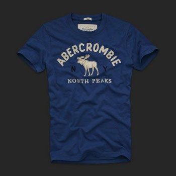 Abercrombie & Fitch - Camiseta Masculina - 5774